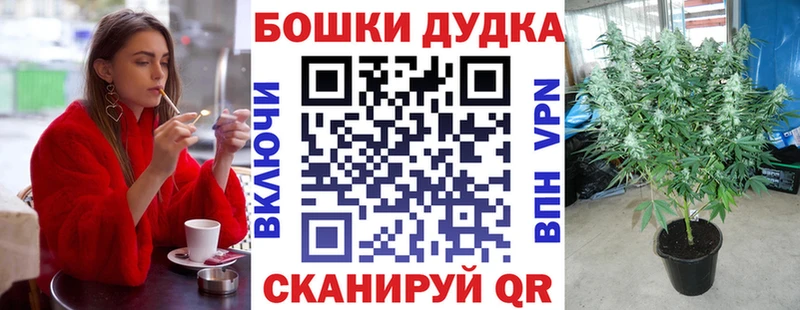 МАРИХУАНА конопля  Динская 